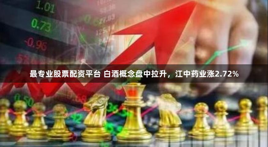 最专业股票配资平台 白酒概念盘中拉升，江中药业涨2.72%