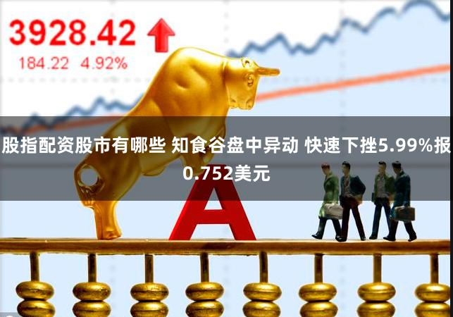 股指配资股市有哪些 知食谷盘中异动 快速下挫5.99%报0.752美元