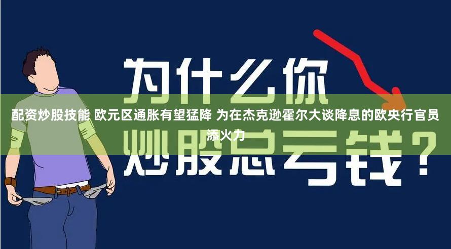 配资炒股技能 欧元区通胀有望猛降 为在杰克逊霍尔大谈降息的欧