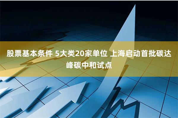 股票基本条件 5大类20家单位 上海启动首批碳达峰碳中和试点